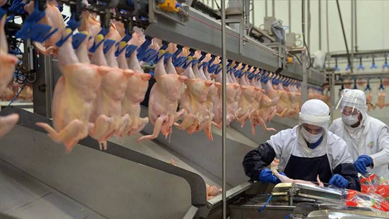 5 ayda yüzde 200 zamlanan beyaz ete ihracat yasağı geliyor
