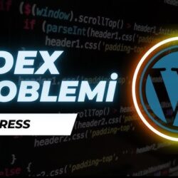 Web sitem Index Almıyor, Ne Yapabilirim? (Kapsamlı Rehber)