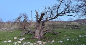 gulistan-dokunun-mezari-18-noktada-40-kilometrelik-alanda-araniyor-m4gTItNA